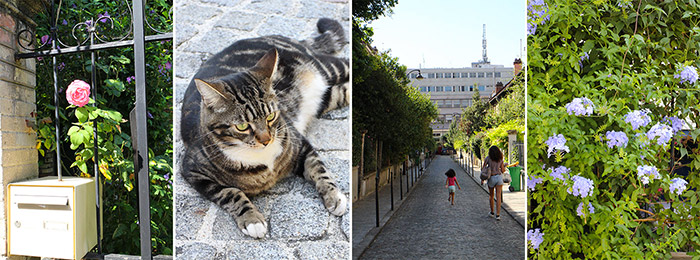 chat butte cailles paris