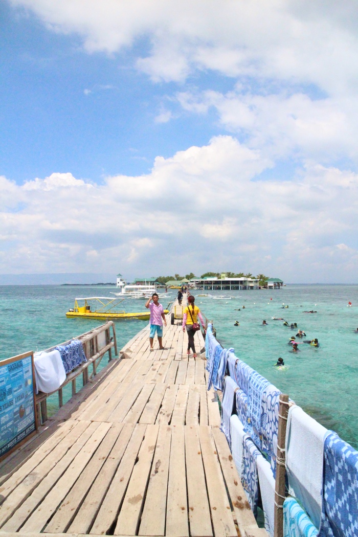 philippines snorkelling cebu