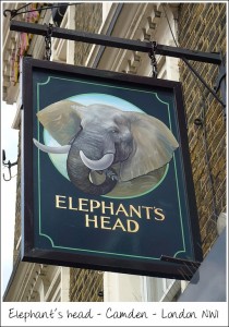 pub_elephantshead