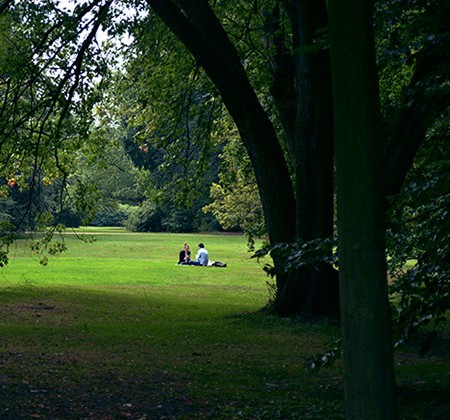 parc Tiergarten