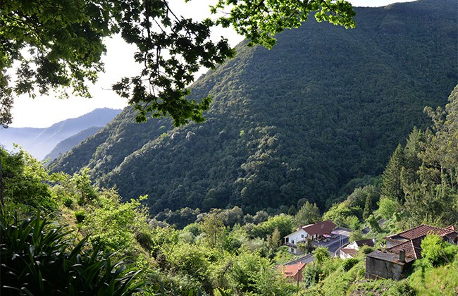 madère nature