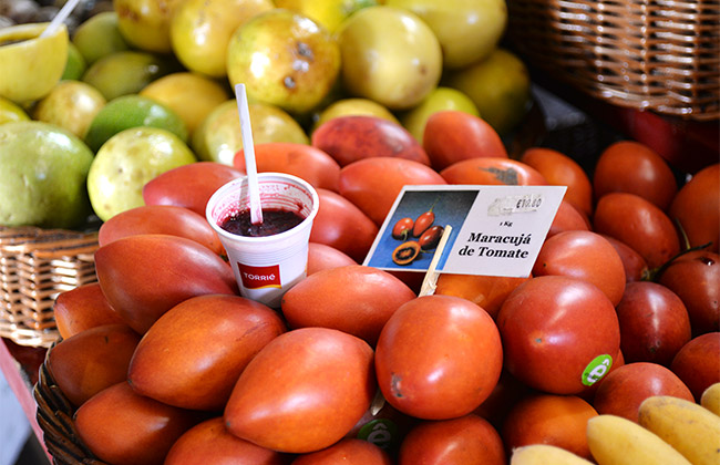 mercado da funchal a taste of my life