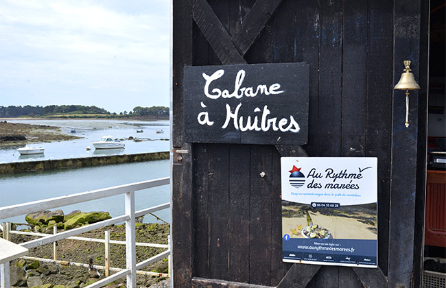 morbihan rythme marrees ivan