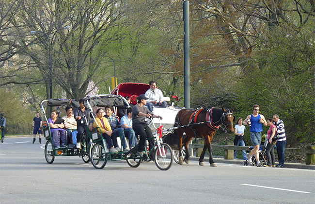 new york central park caleches