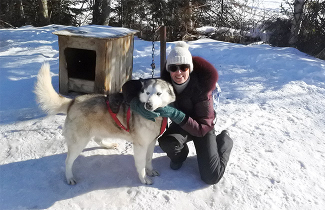 chien traineau ferme 5 etoiles