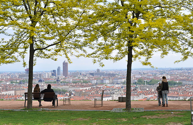 lyon jardin curiosités