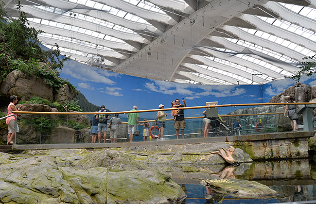 montreal biodome quebec