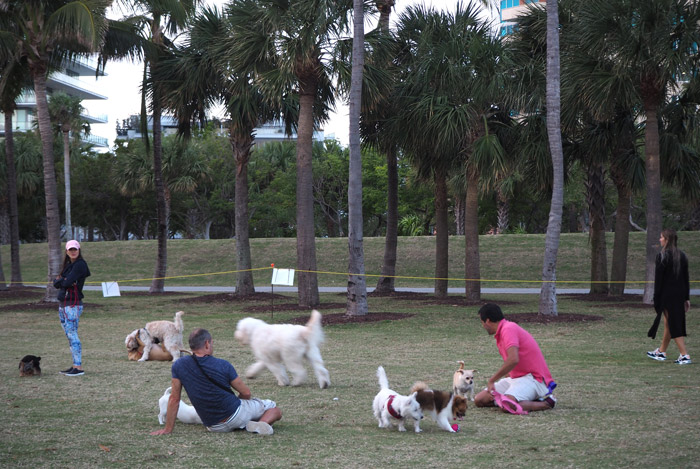 parc south pointe chiens Miami