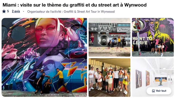 visite guidée street art Wynwood