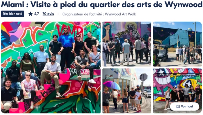 visite guidée à pied quartier wynwood graffiti