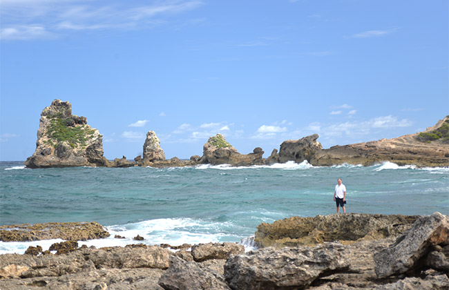 guadeloupe pointe chateaux