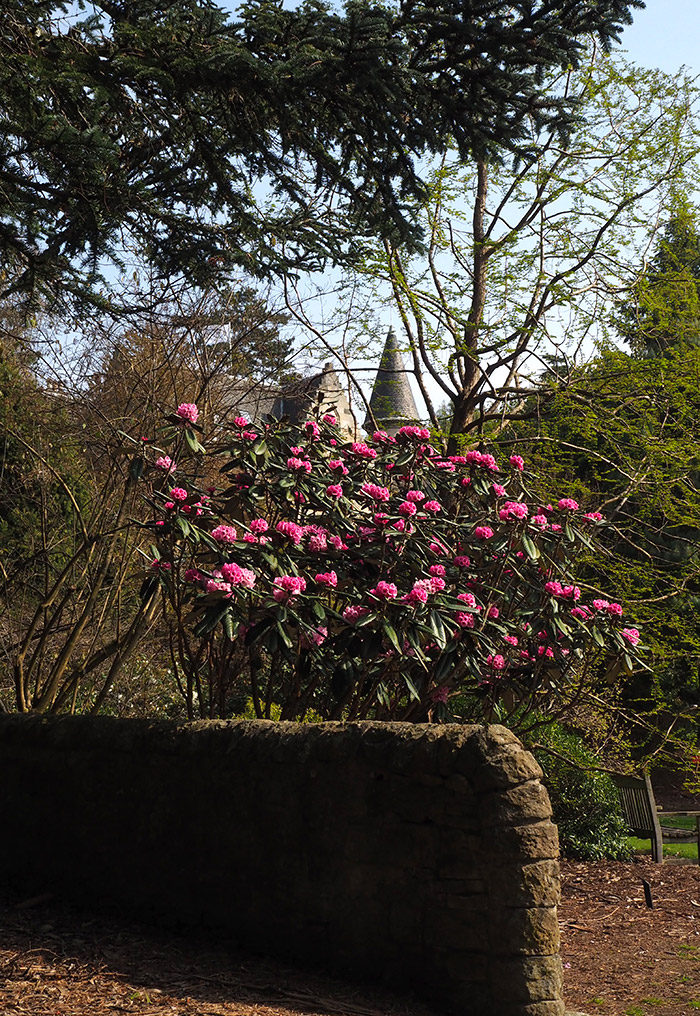 Dundee botanic gardens