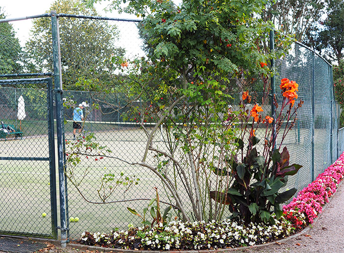 tennis court longueville manor jersey