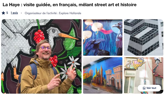 visite guidée street art la haye
