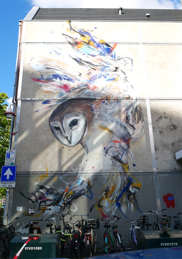 la haye den haag street art murals