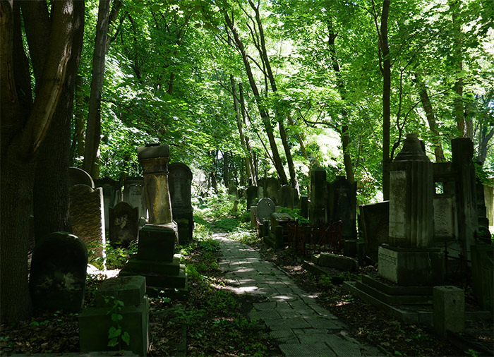 cimetière juif varsovie