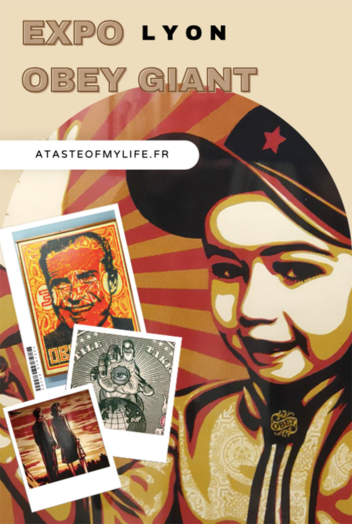 exposition lyon obey giant