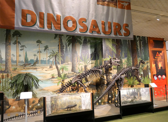 dinosaures liverpool world museum