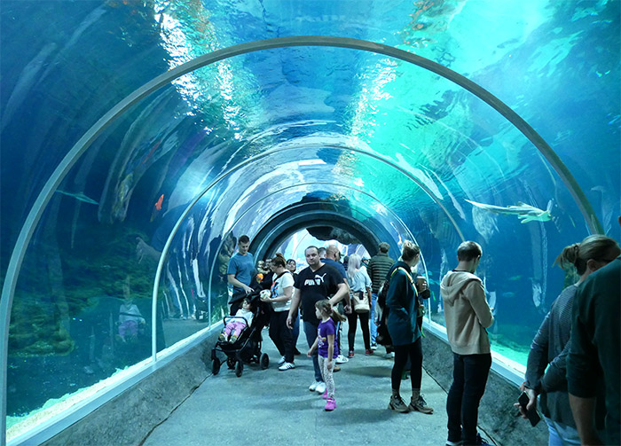 tunnel requins lodz orientarium