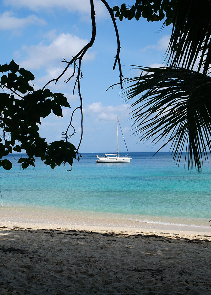 plage moustique marie galante