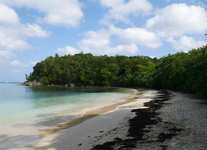 plage moustique marie galante