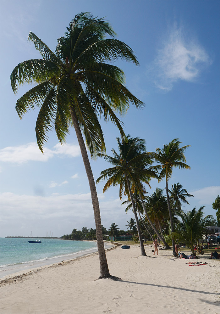 plage marie galante