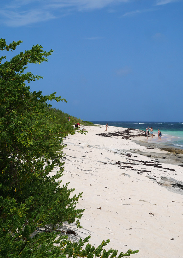 plage marie galante