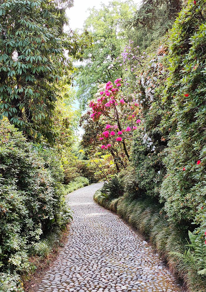 villa Carlotta jardin botanique