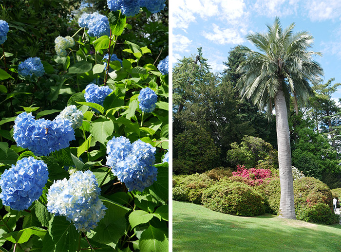 Villa Carlotta jardins Italie Côme