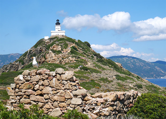 golfe ajaccio îles sanguinaire mezzumare