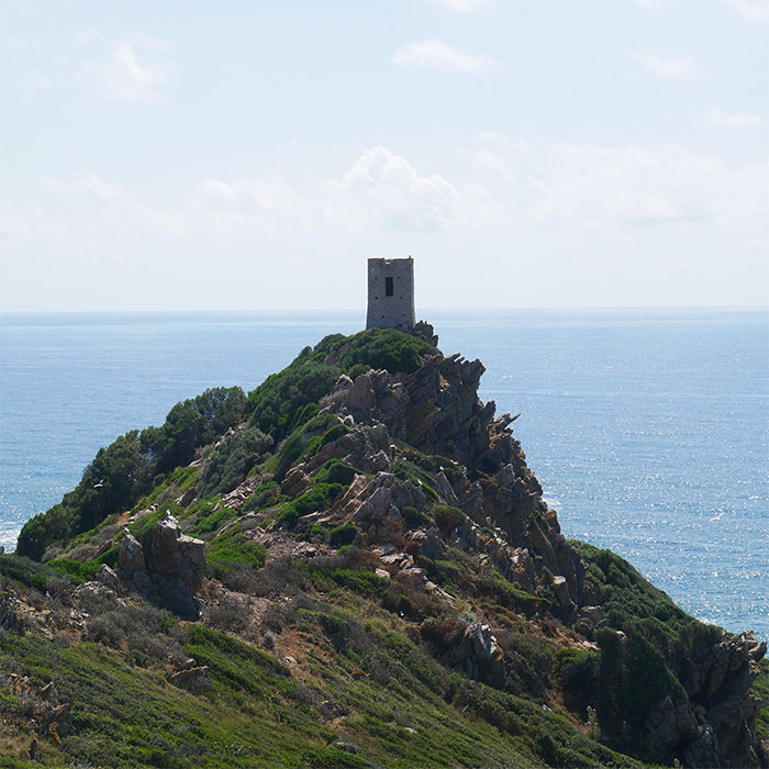 tour carrée iles sanguinaires ajaccio