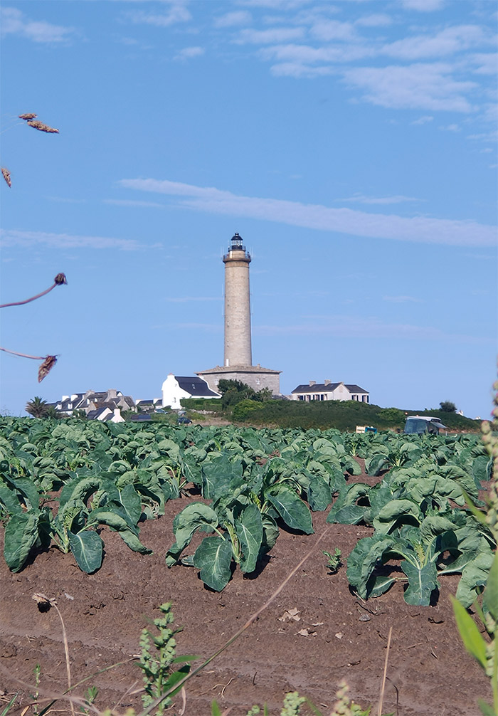 ile de batz phare