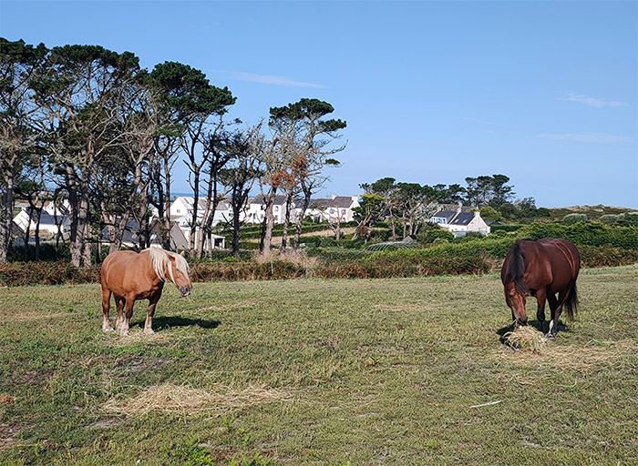 ile de batz finistere