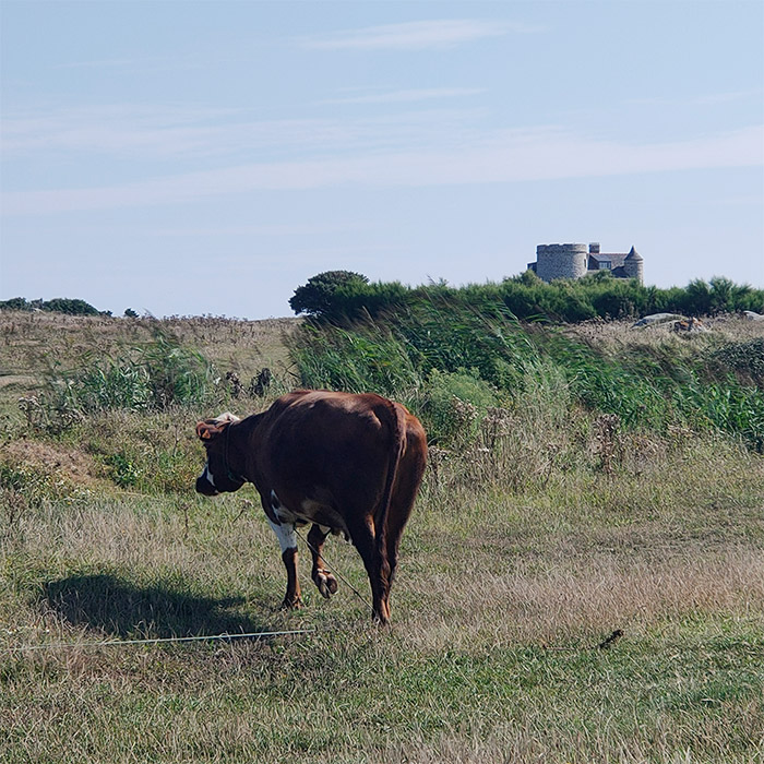 ile de batz finistere