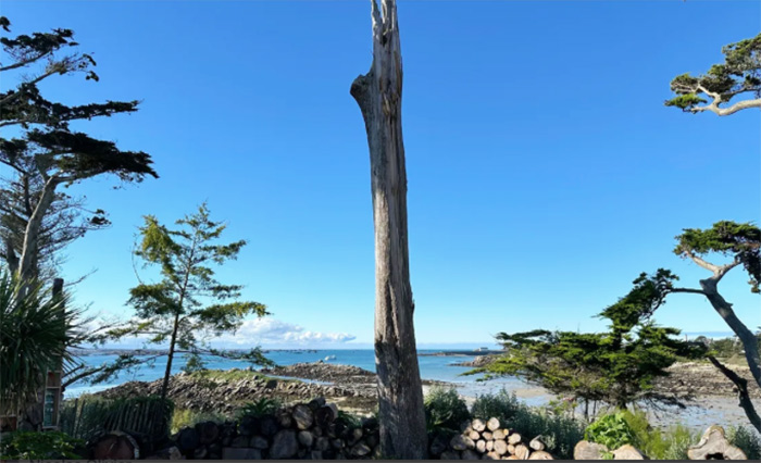 jardin Delaselle ile de batz