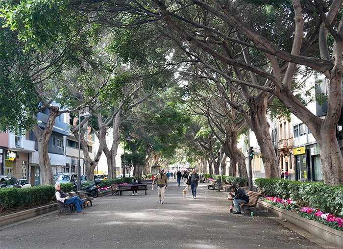 rambla santa cruz tenerife