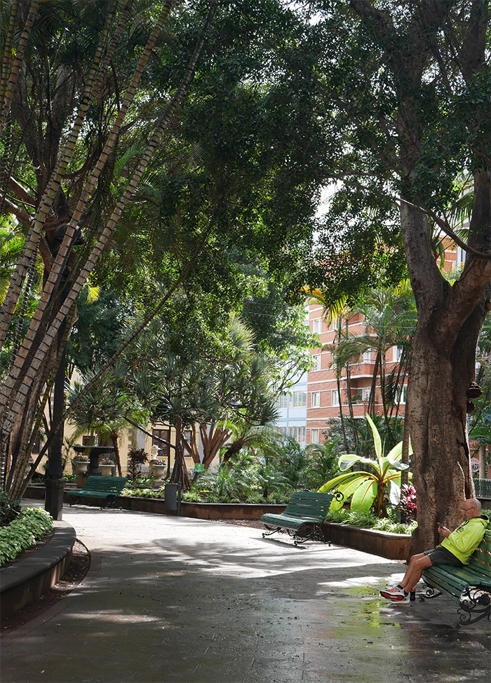 santa cruz de tenerife parc