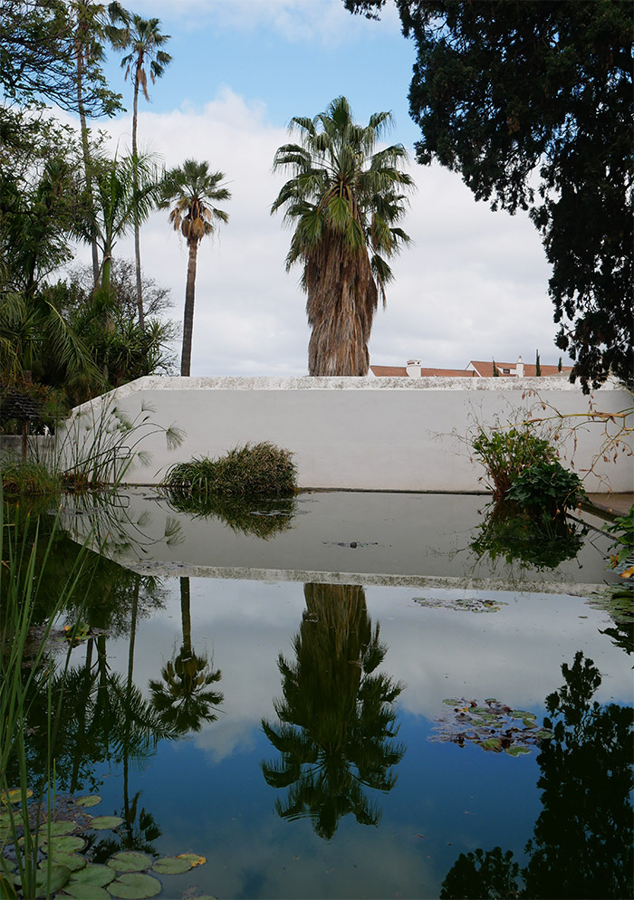 jardin acclimation puerto de la cruz tenerife