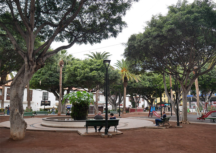 plaza del charco puerto de la cruz