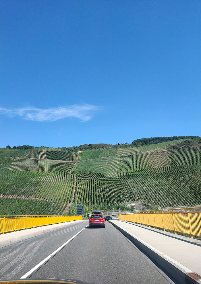 vignes moselle Allemagne