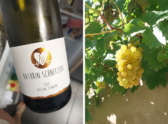 riesling moselle Allemagne raisin