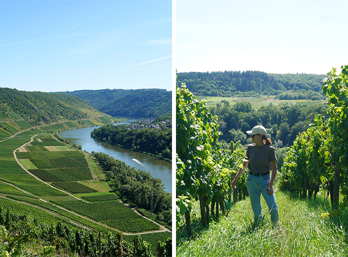 moselle vignobles vue allemagne