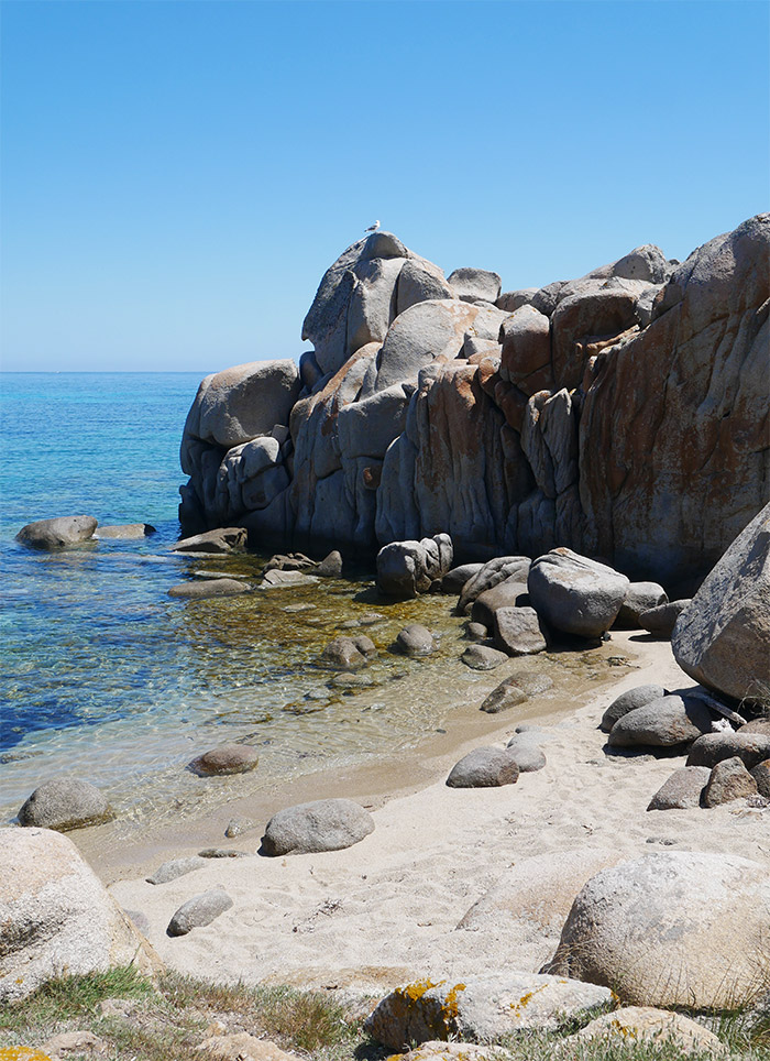 île lavezzi corse