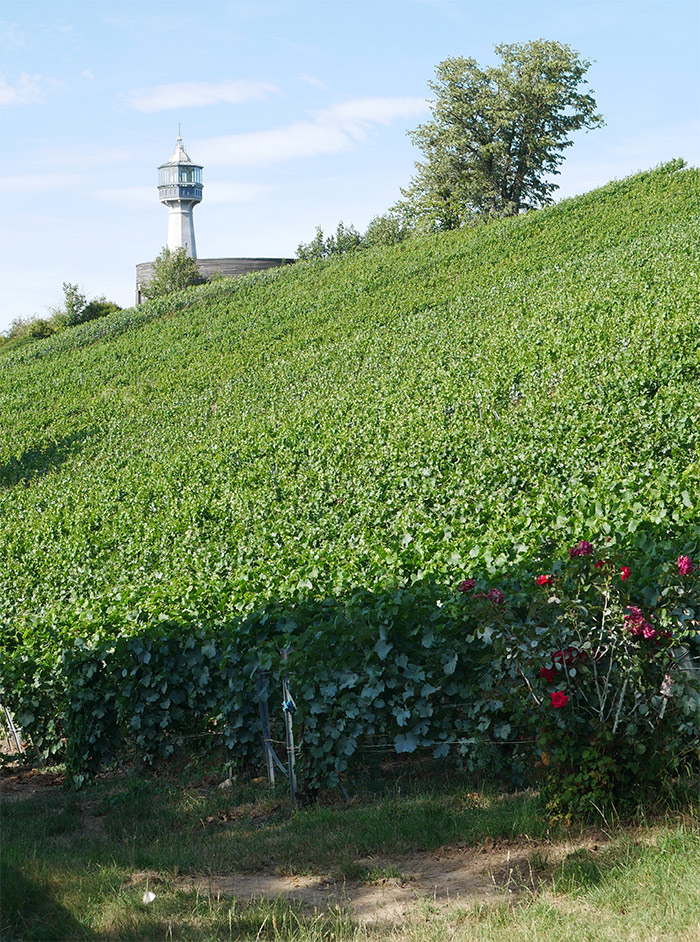 phare de verzenay champagne